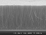 Vertically Aligned Carbon Nano Tube : in NH3 Environment