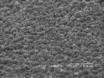 Coated Surface of Vitreous Carbon by Electrophoresis