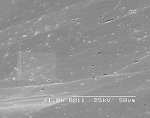 SEM image of ta-C surface : using new cathode